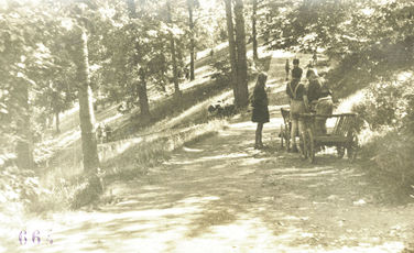 Fotografie um 1952, Kinder bei der Parkpflege